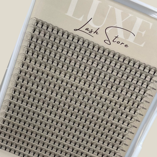 10D Premade Volume Fans Ultra Dark XL Lash Trays - D Curl